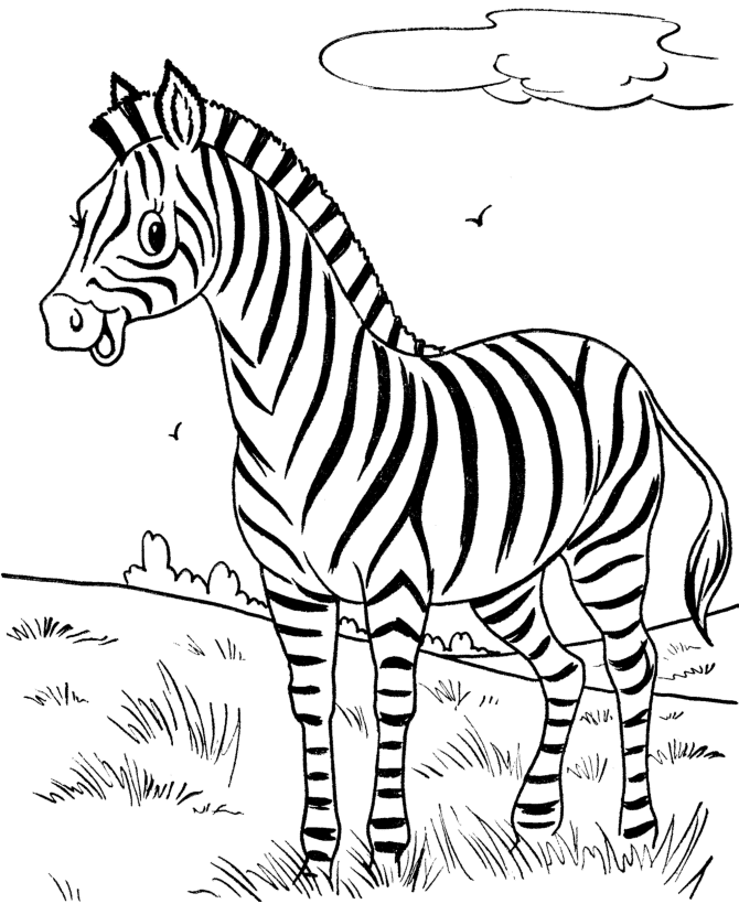 Plansa de colorat cu Zebra 18 10